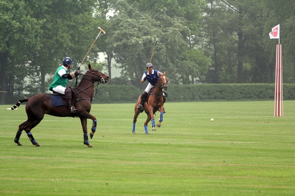 Polo_Art   034.jpg